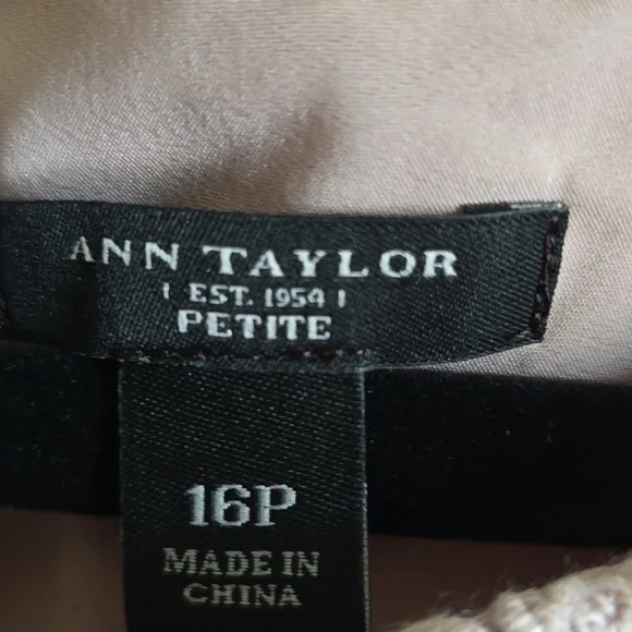 Ann Taylor-Beige lace sheath dress with chiffon overlay on right side Sz 16P - Picture 3 of 8